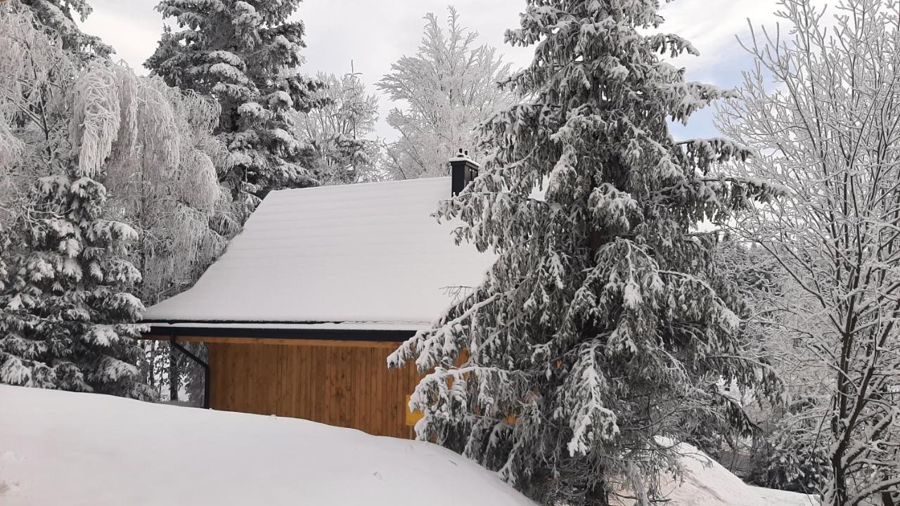 Villa Domki Krynica Exterior foto