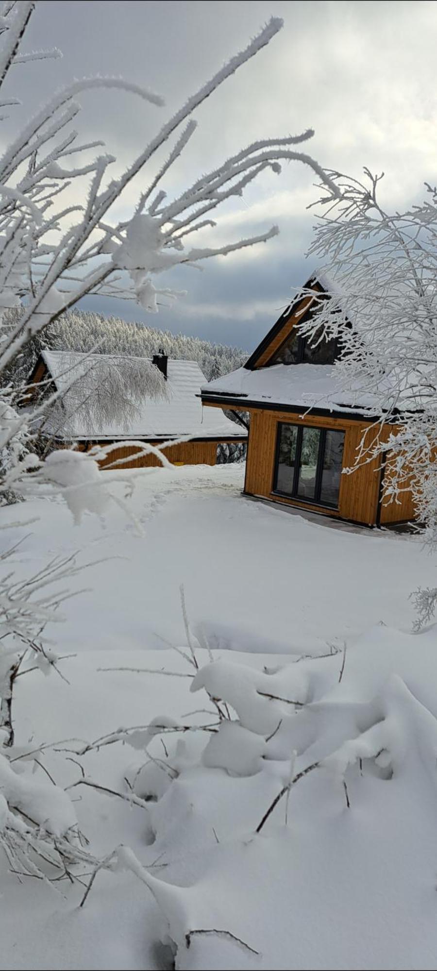 Villa Domki Krynica Exterior foto