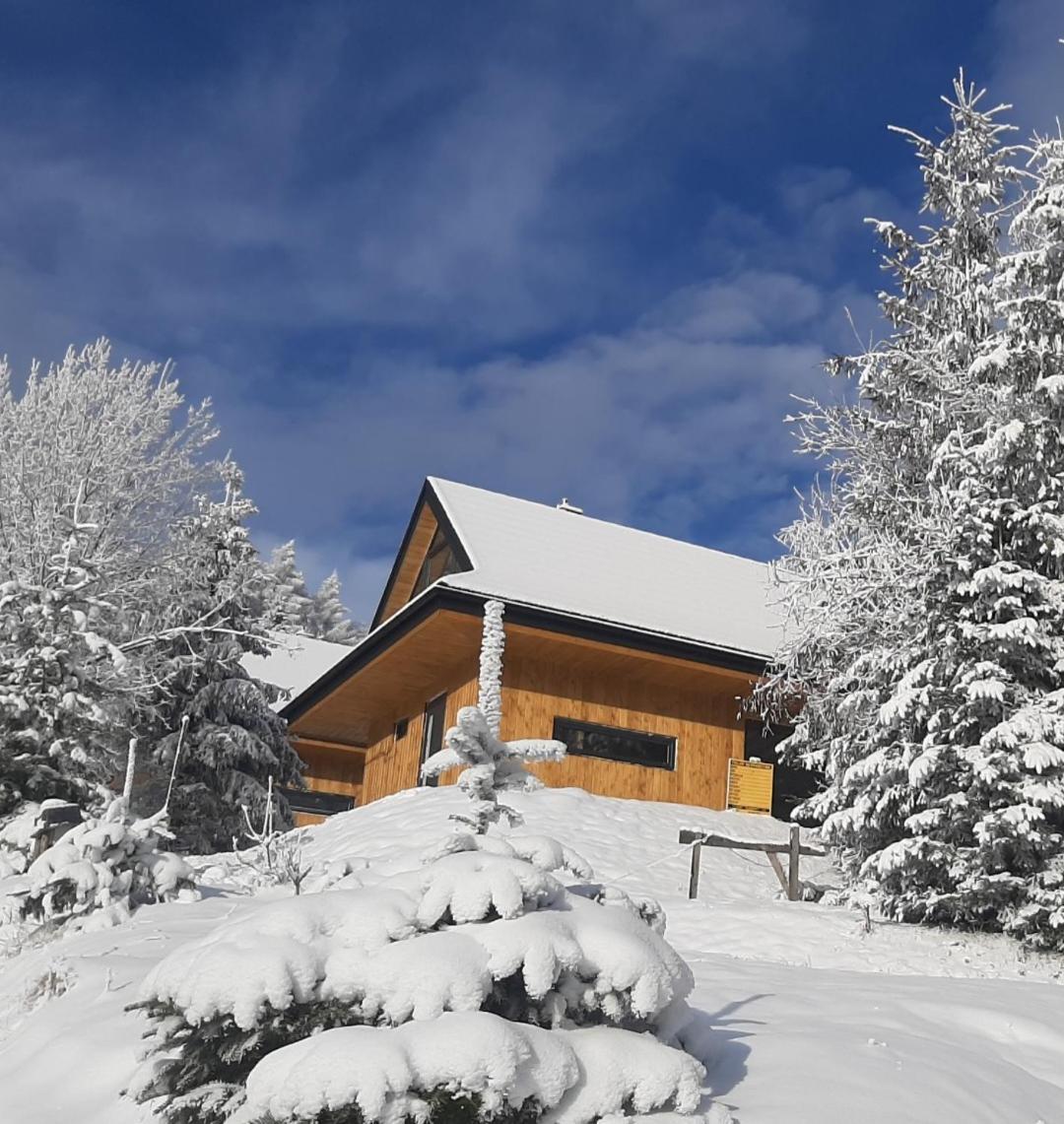 Villa Domki Krynica Exterior foto