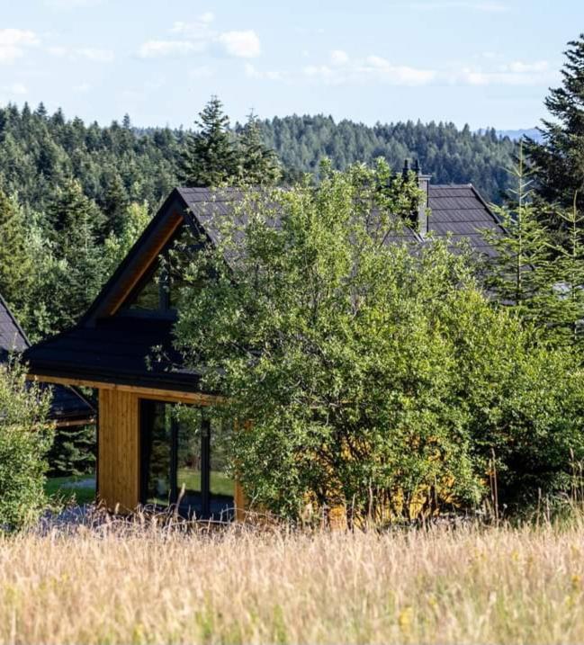 Villa Domki Krynica Exterior foto